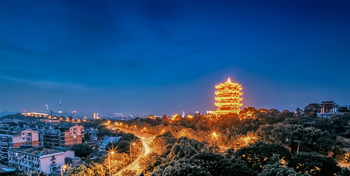 知識(shí)產(chǎn)權(quán)專業(yè)律師 